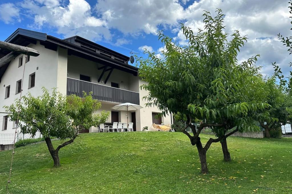 Haus Hafner Sonniges Apartment Terlano Exterior photo